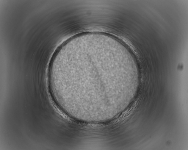 X0000097640840200803281121