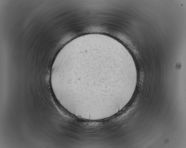 X0000097640841200803281121