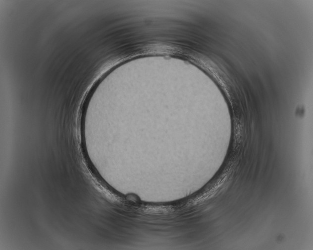 X0000097640843200803281121