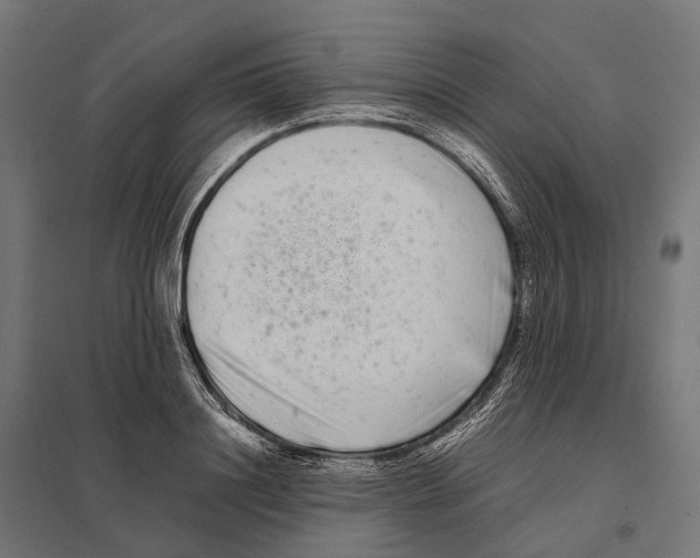 X0000097640844200803281121