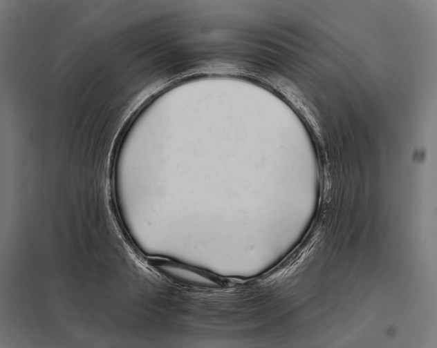 X0000097640845200803281121