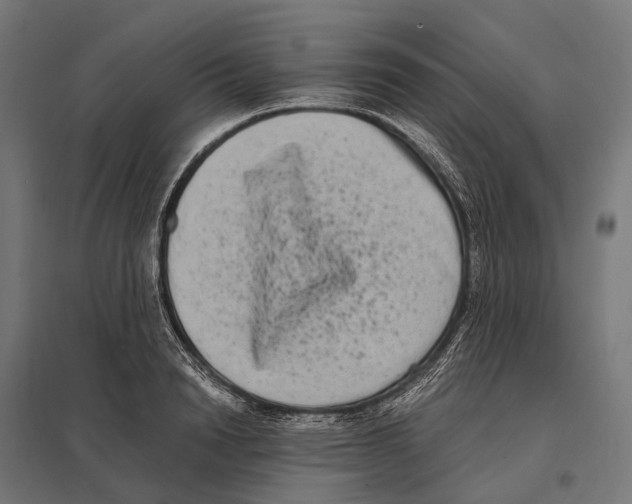 X0000097640846200803281121