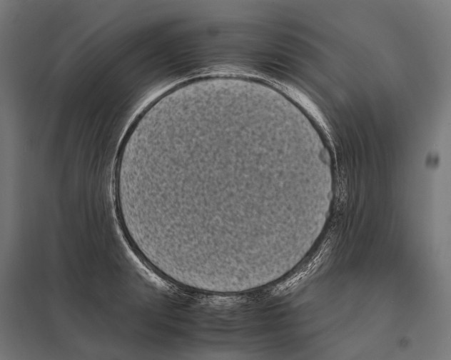 X0000097640847200803281121