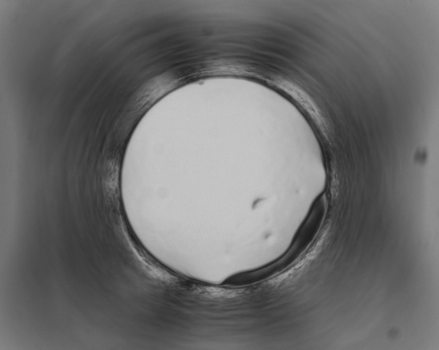 X0000097640849200803281121