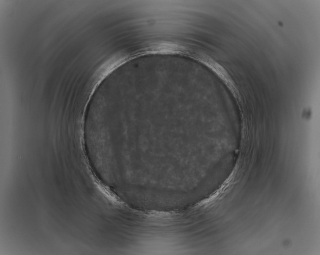 X0000097640850200803281121