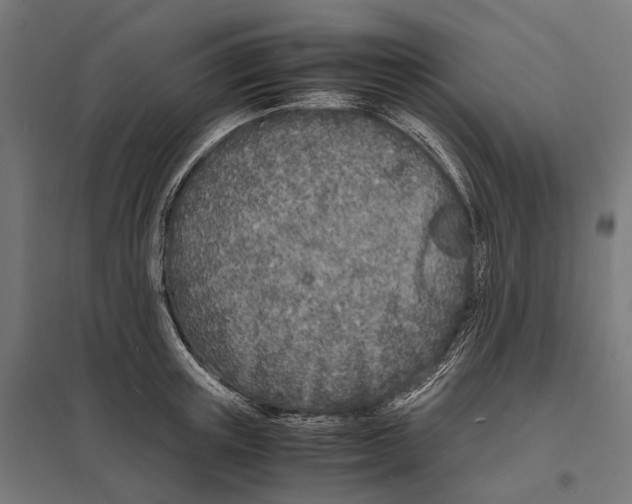 X0000097640851200803281121