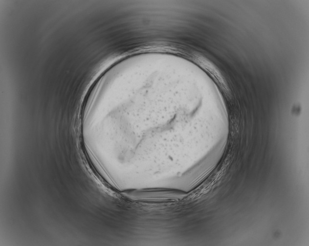 X0000097640852200803281121