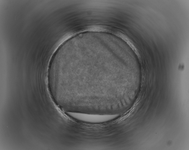 X0000097640853200803281121