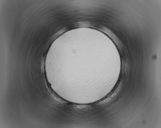 X0000097640857200803281121