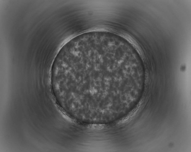 X0000097640858200803281121