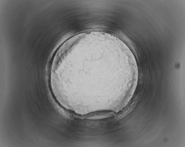 X0000097640859200803281121