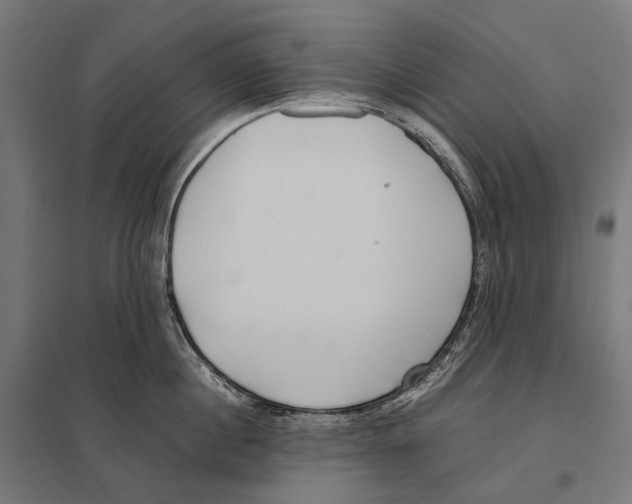 X0000097640860200803281121