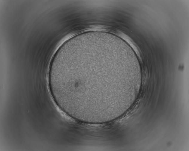 X0000097640861200803281121