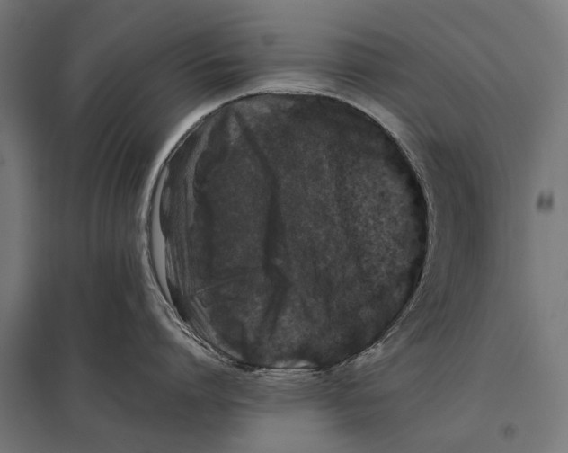 X0000097640864200803281121