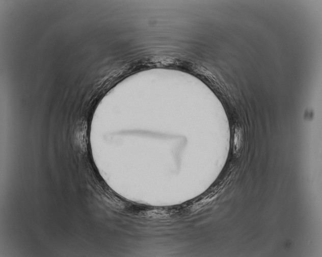 X0000097640867200803281121