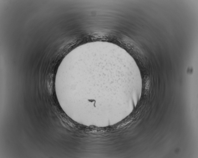 X0000097640868200803281121