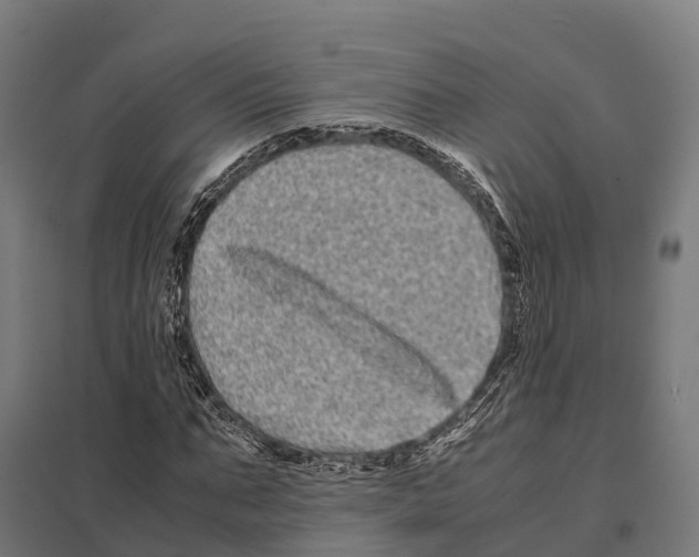 X0000097640871200803281121