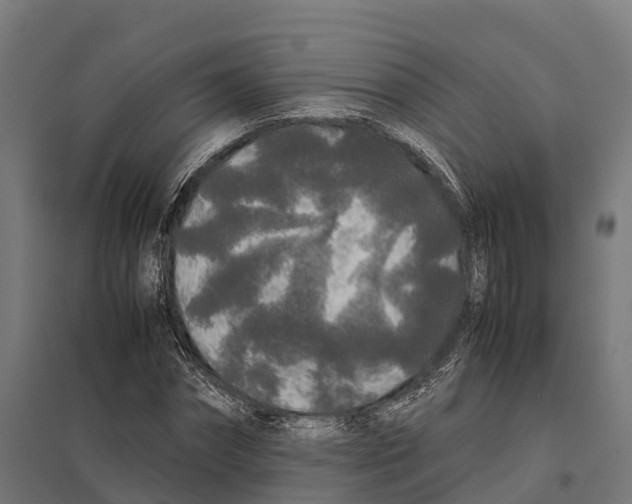 X0000097640874200803281121