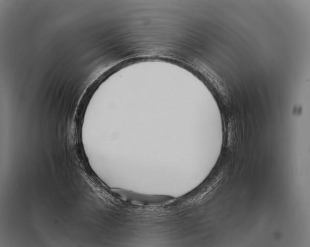 X0000097640876200803281121