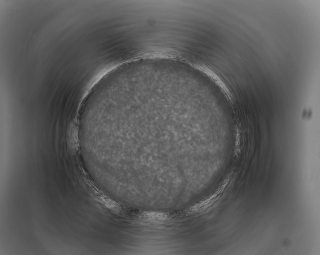 X0000097640878200803281121