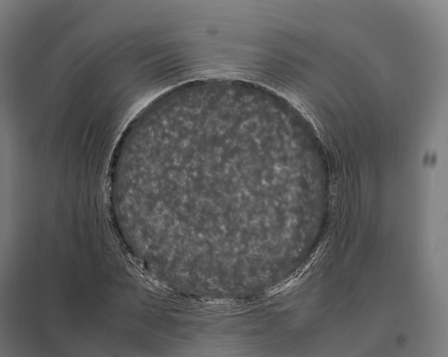 X0000097640879200803281121