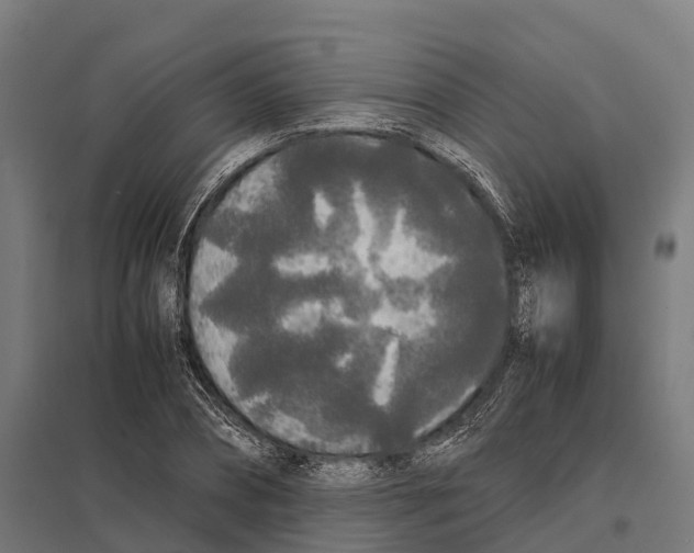 X0000097640882200803281121