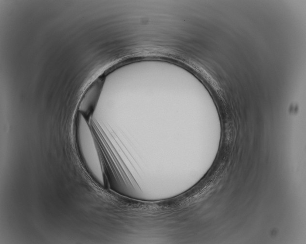 X0000097640885200803281121