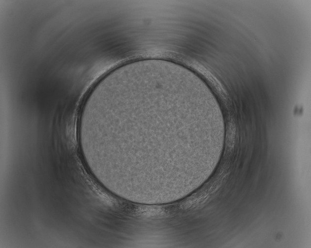 X0000097640886200803281121