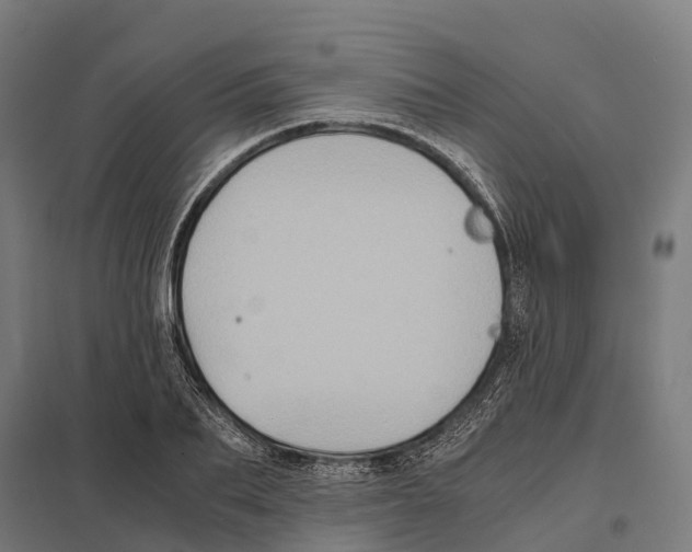 X0000097640887200803281121