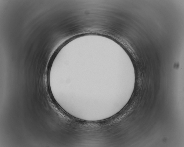 X0000097640888200803281121