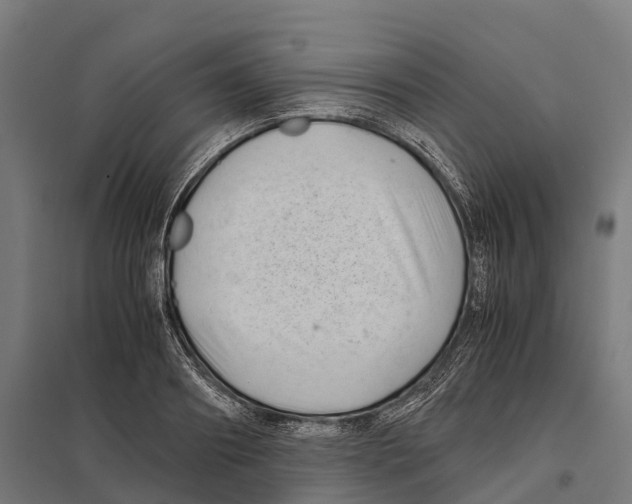 X0000097640890200803281120