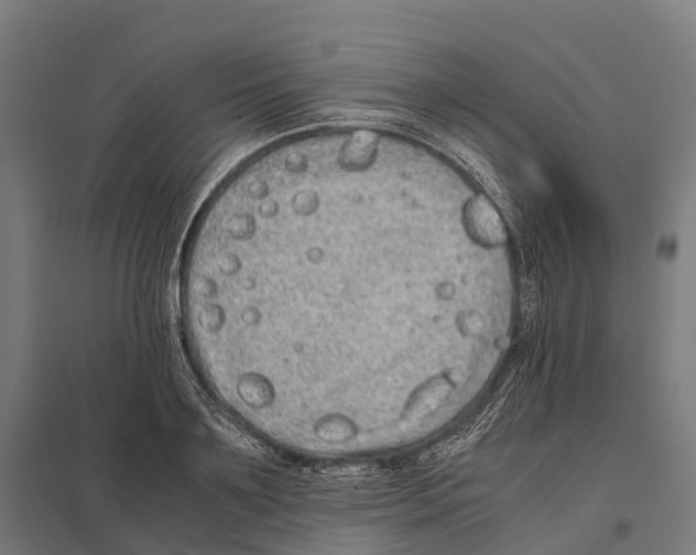 X0000097640891200803281120