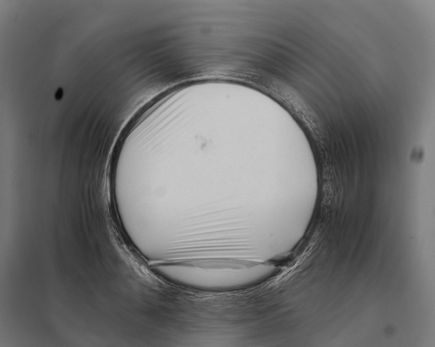 X0000097640892200803281120