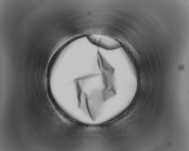 X0000097640894200803281120