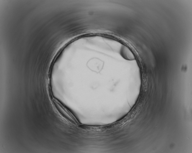 X0000097640895200803281120