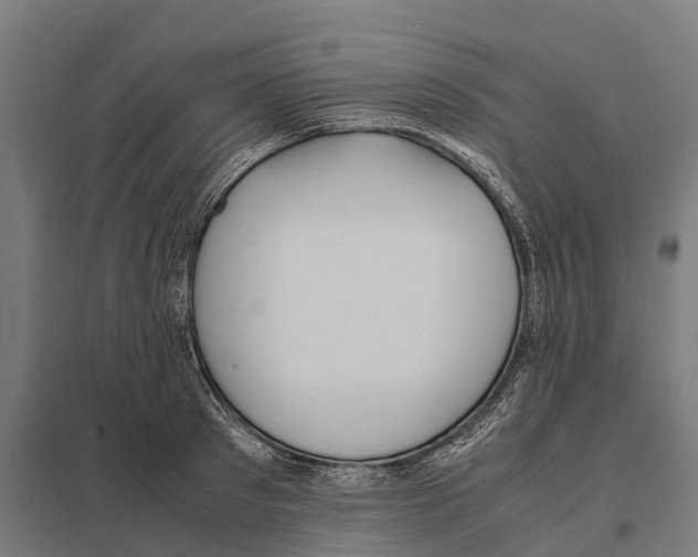 X0000097640897200803281120