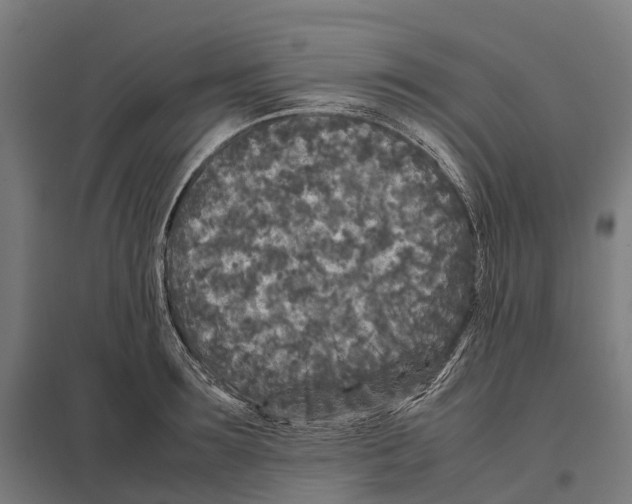 X0000097640899200803281120