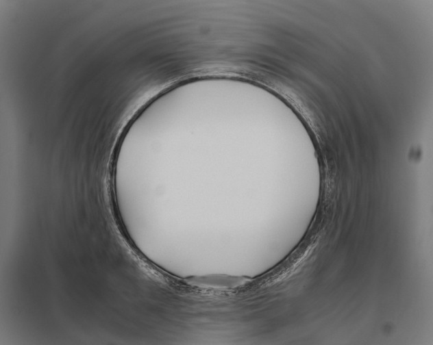 X0000097640901200803281120