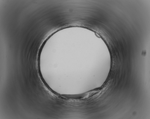 X0000097640902200803281120