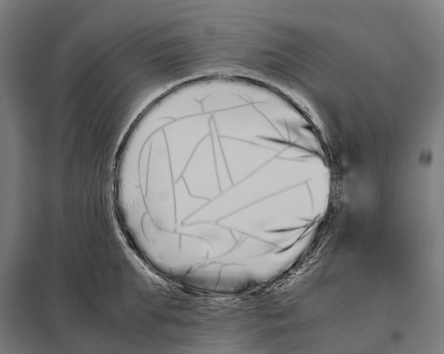 X0000097640903200803281120