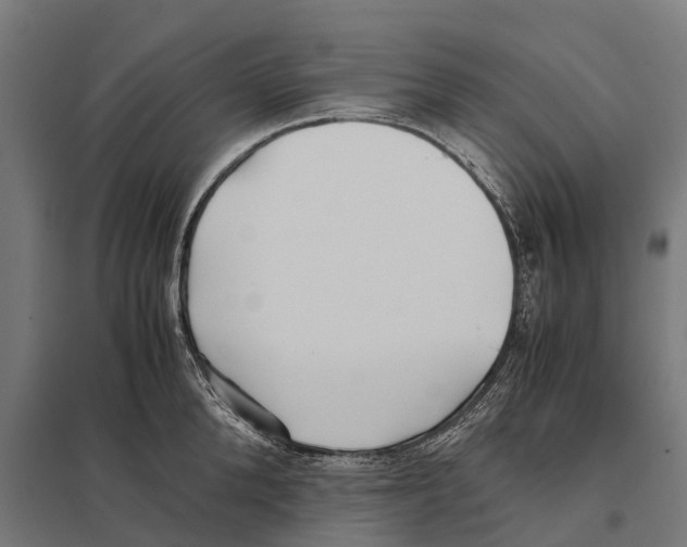 X0000097640904200803281120