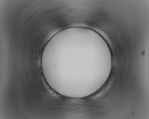 X0000097640905200803281120