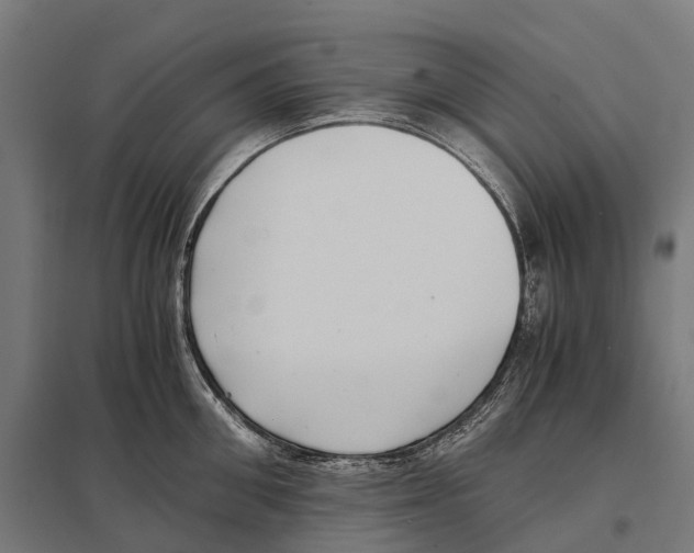 X0000097640906200803281120