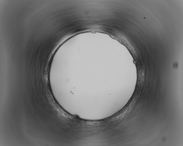 X0000097640908200803281120