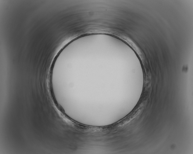 X0000097640909200803281120