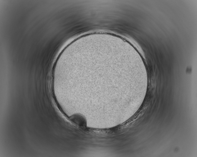 X0000097640911200803281120