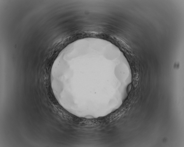 X0000097640917200803281120