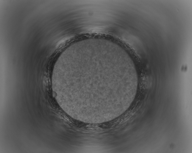 X0000097640918200803281120