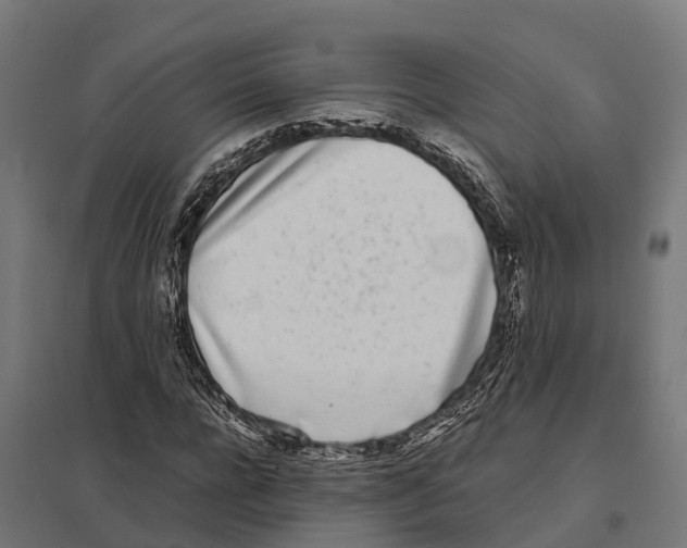 X0000097640920200803281120