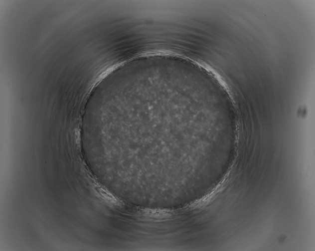 X0000097640921200803281120